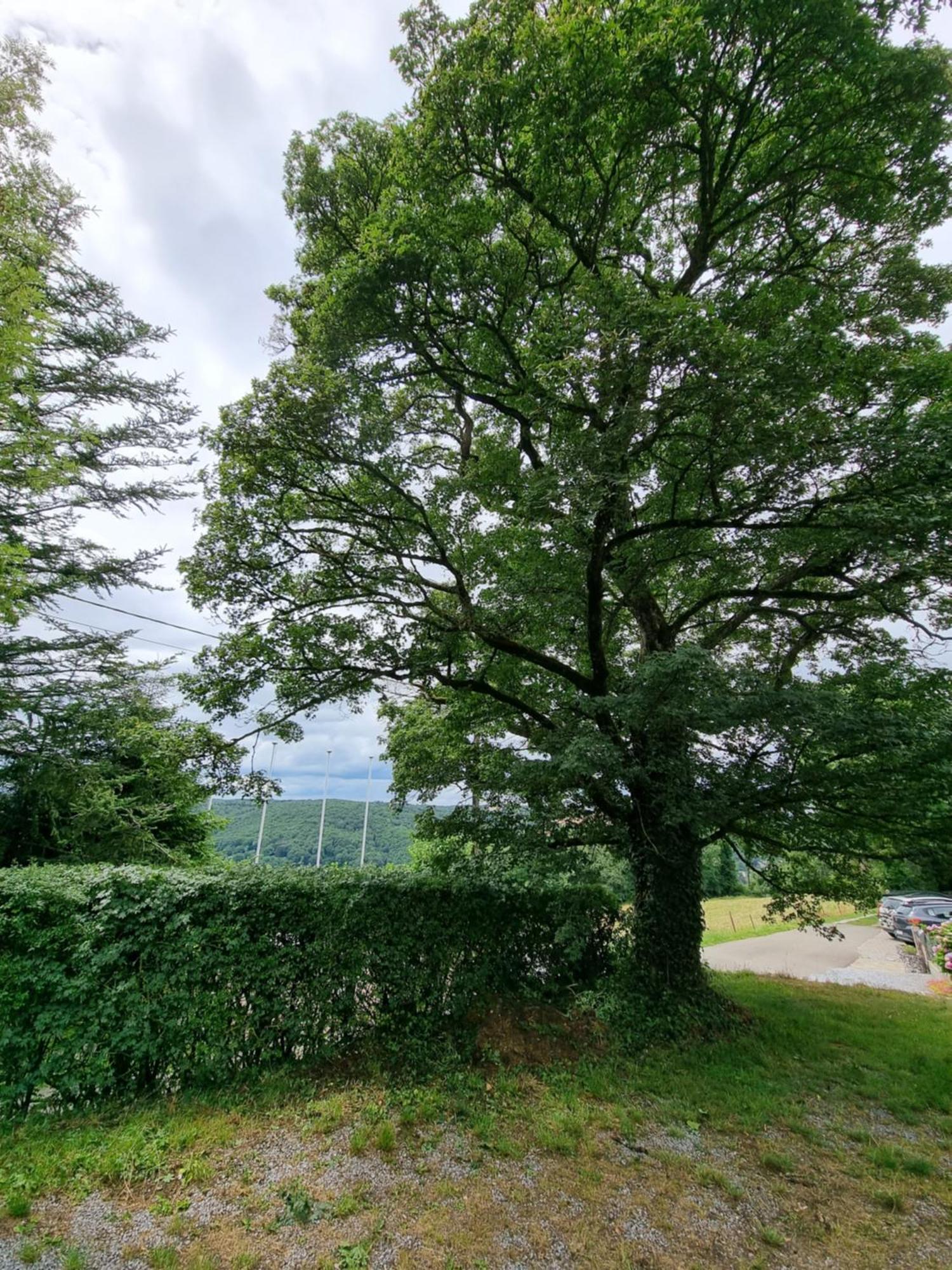 Gîte 7ici Blaimont Extérieur photo